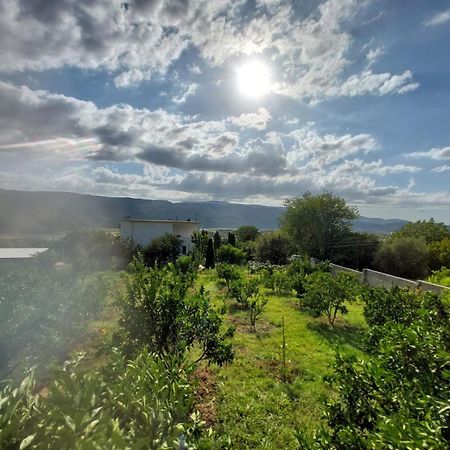 Guest House Xhaferaj Берат Экстерьер фото