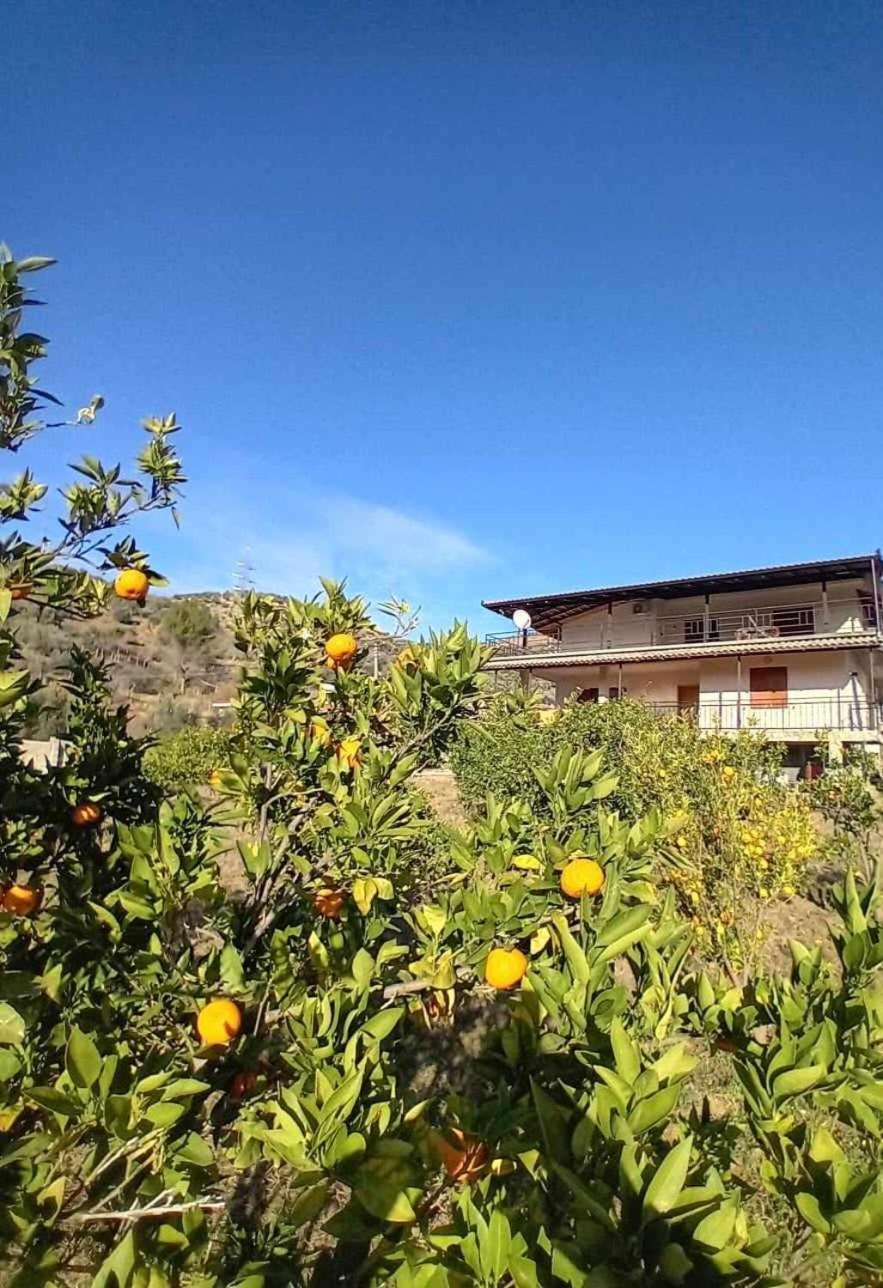 Guest House Xhaferaj Берат Экстерьер фото
